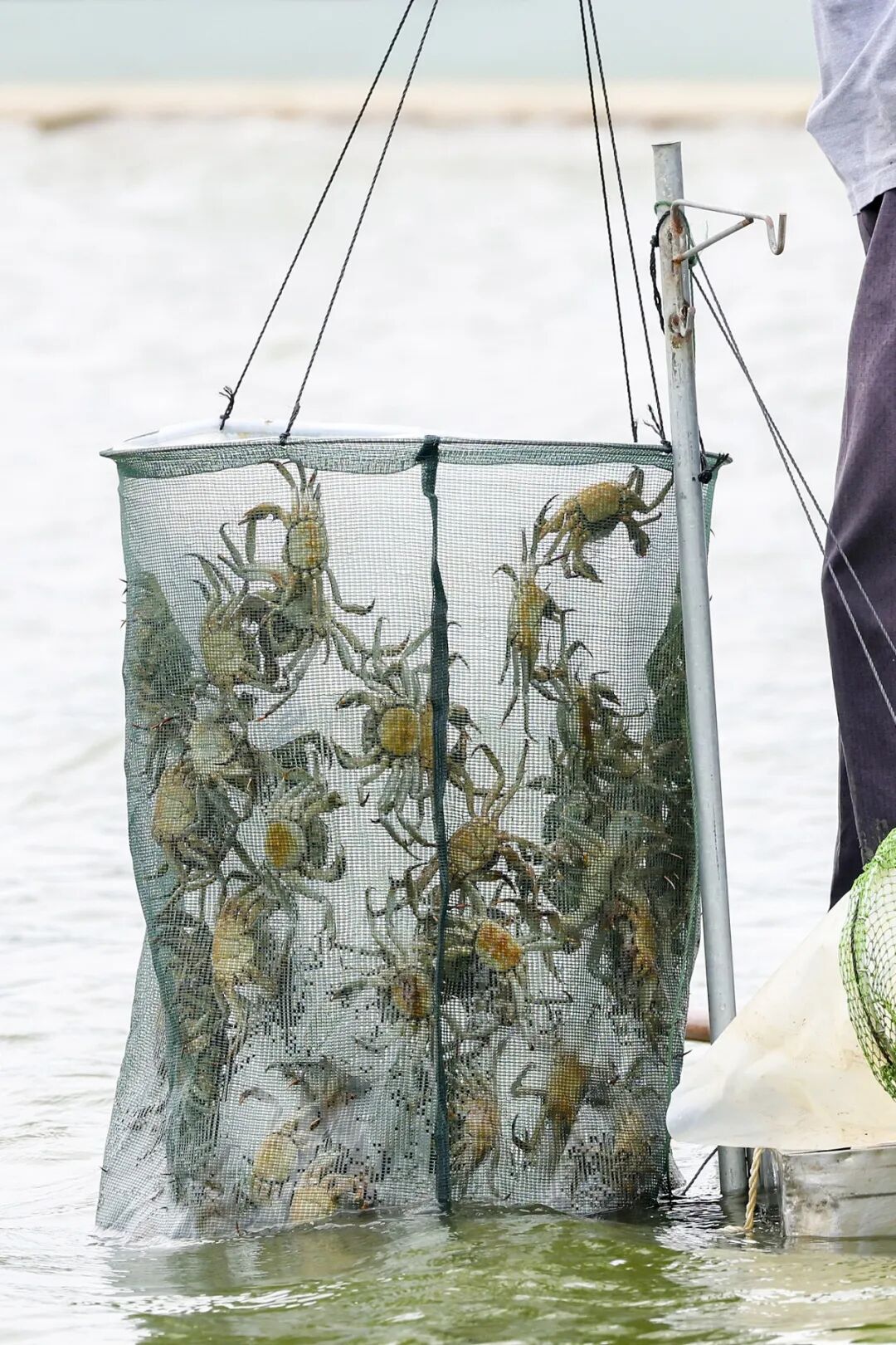 Image related to The Most Overlooked City in Jiangsu: How Does Its Spring Delicacies Outshine Yangzhou and Suzhou?