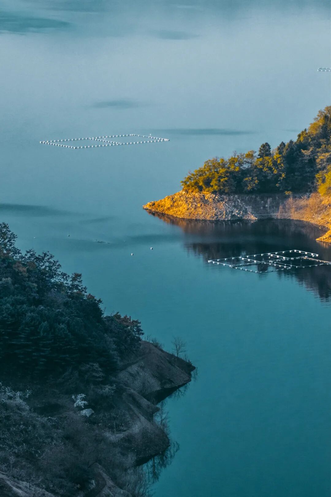 Image related to In This Hidden Seafood Paradise, Everyone Can Eat Their Fill of Clams!