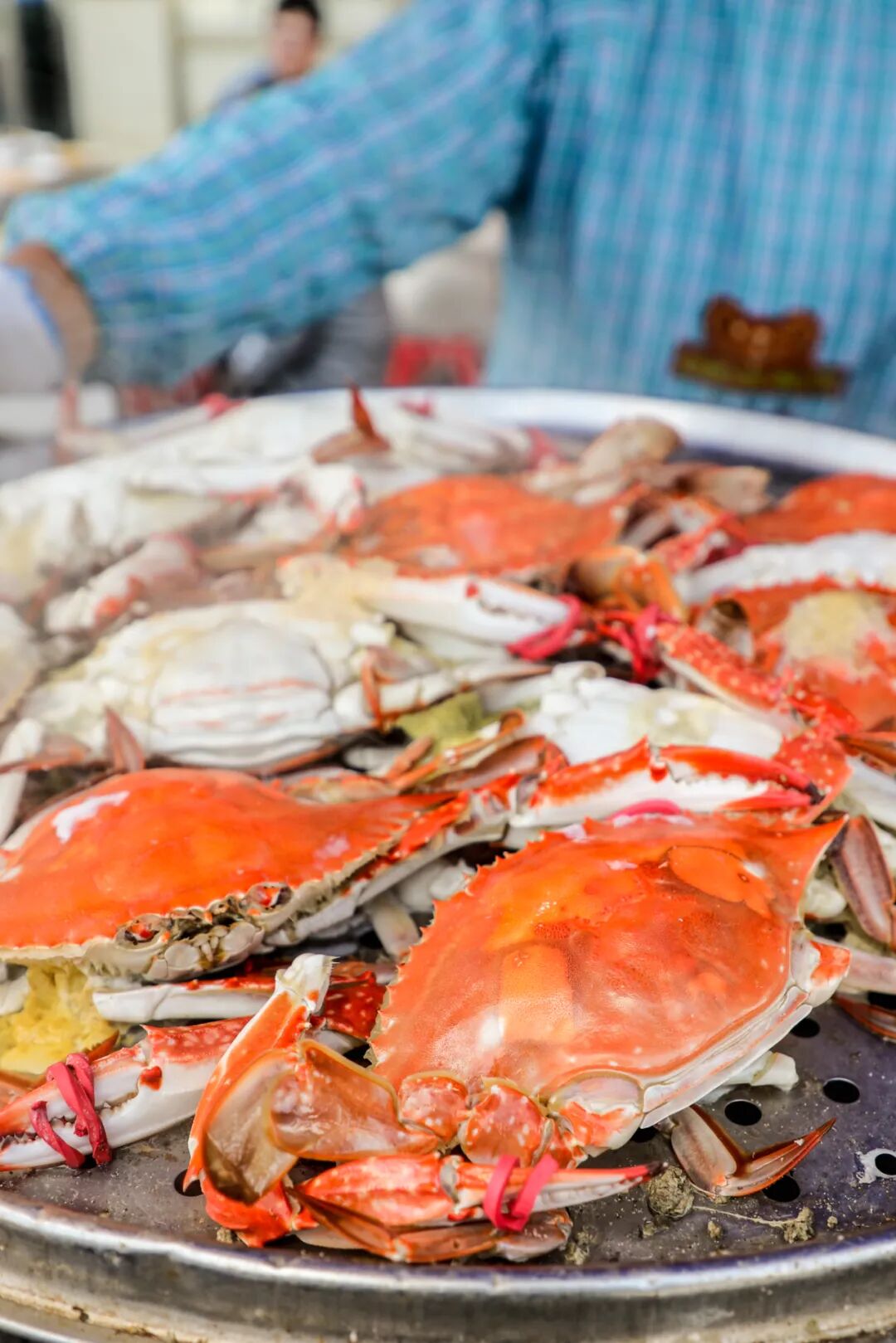 Image related to In This Hidden Seafood Paradise, Everyone Can Eat Their Fill of Clams!