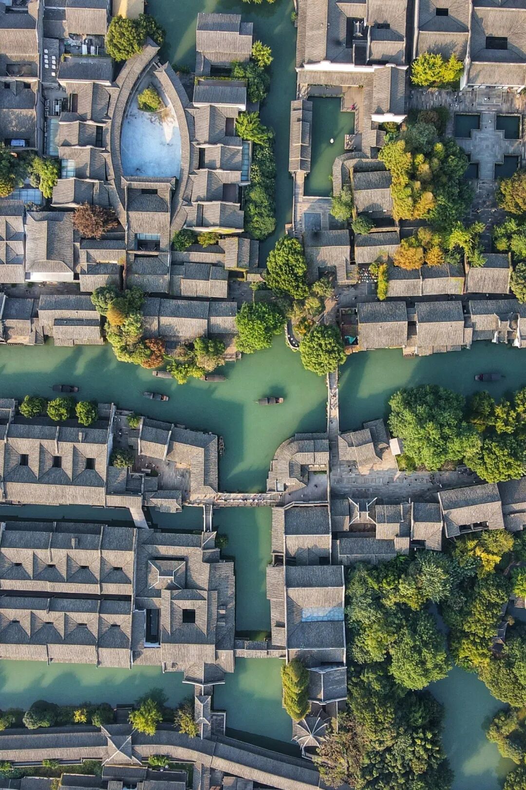 Image related to No Northern Noodles Can Match the Bold Flavors of This Zhejiang Town!