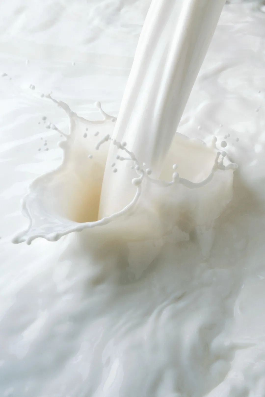 Image related to How Spectacular Has Milk's Journey in China Been?