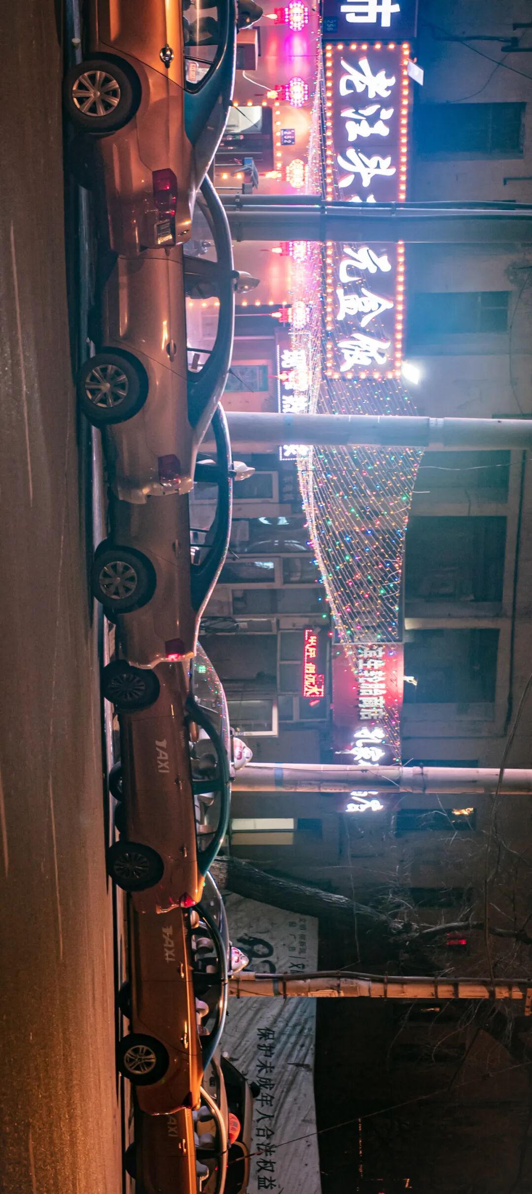 Image related to Why Does Northeastern Cuisine Culminate in Harbin Boxed Meals?