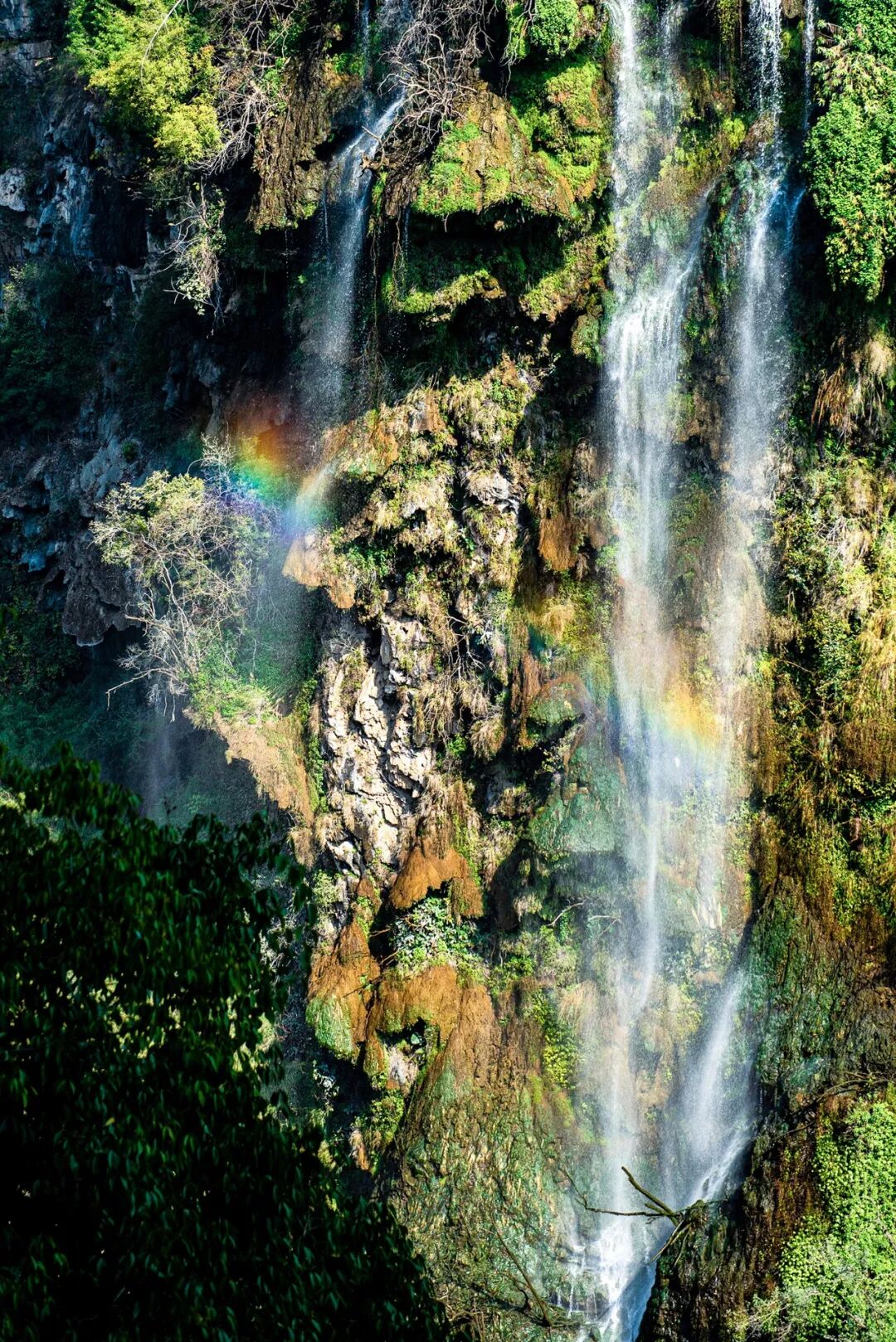 Image related to Embark on a "Fire and Ice" Mountain Adventure: Why Guizhou Reigns as the Ultimate Winter Wonderland