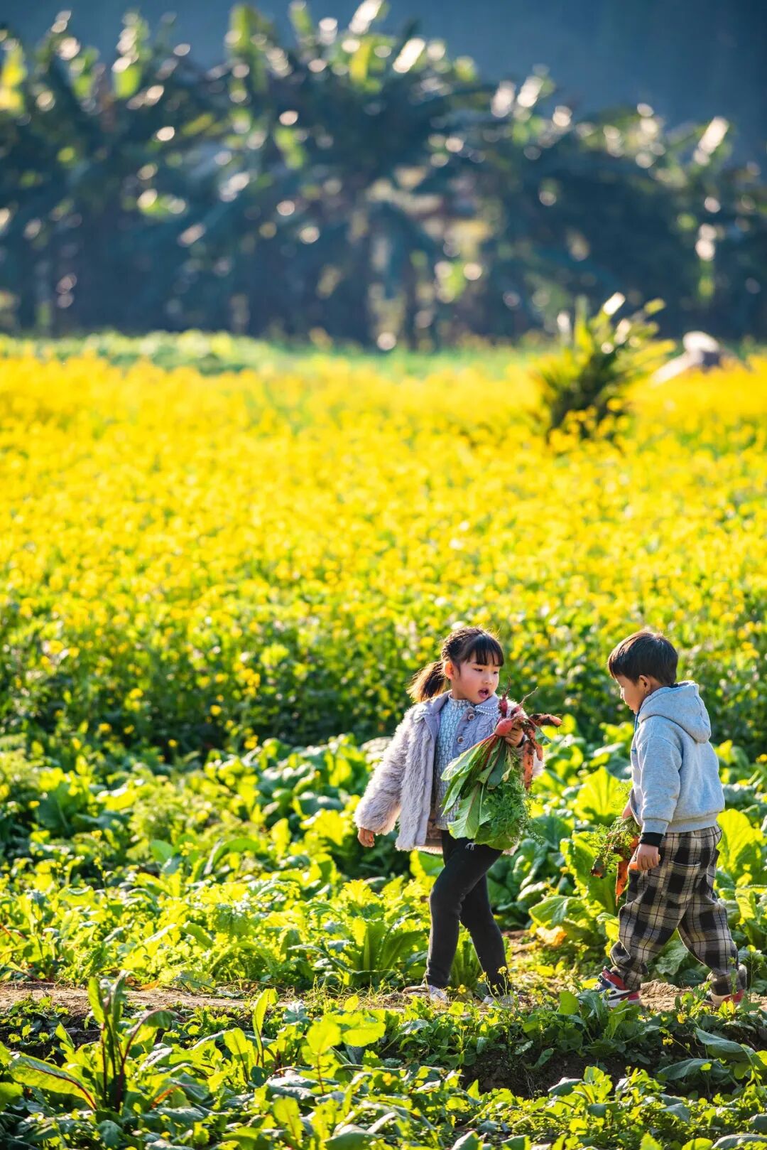 Image related to Embark on a "Fire and Ice" Mountain Adventure: Why Guizhou Reigns as the Ultimate Winter Wonderland