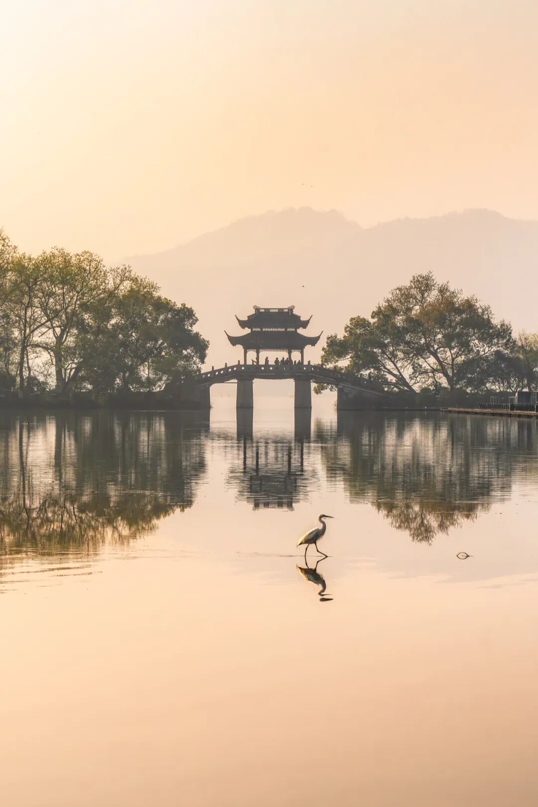 Image related to Building Lakes, Cities, and Paradise: How Hangzhou Rides the Asian Wave