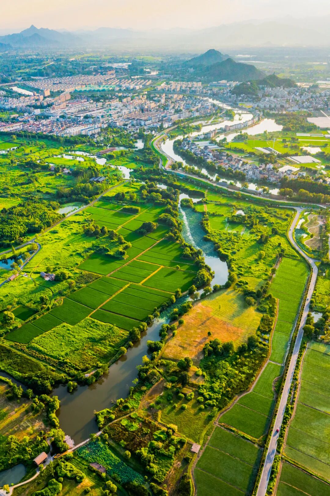 Image related to Building Lakes, Cities, and Paradise: How Hangzhou Rides the Asian Wave