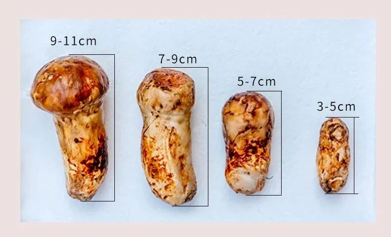 Image related to Southwest China's Summer Delicacy: Available Only One Month a Year