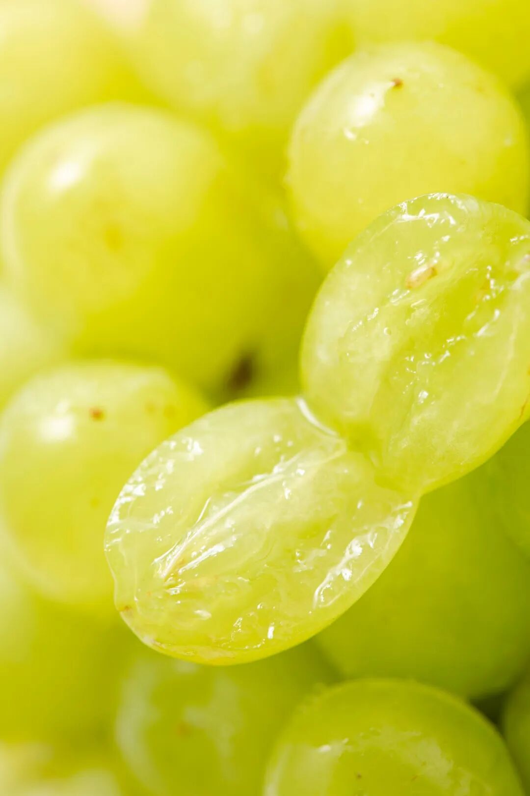 Image related to China's Fruit Hierarchy: Undisputed King Reigns Supreme