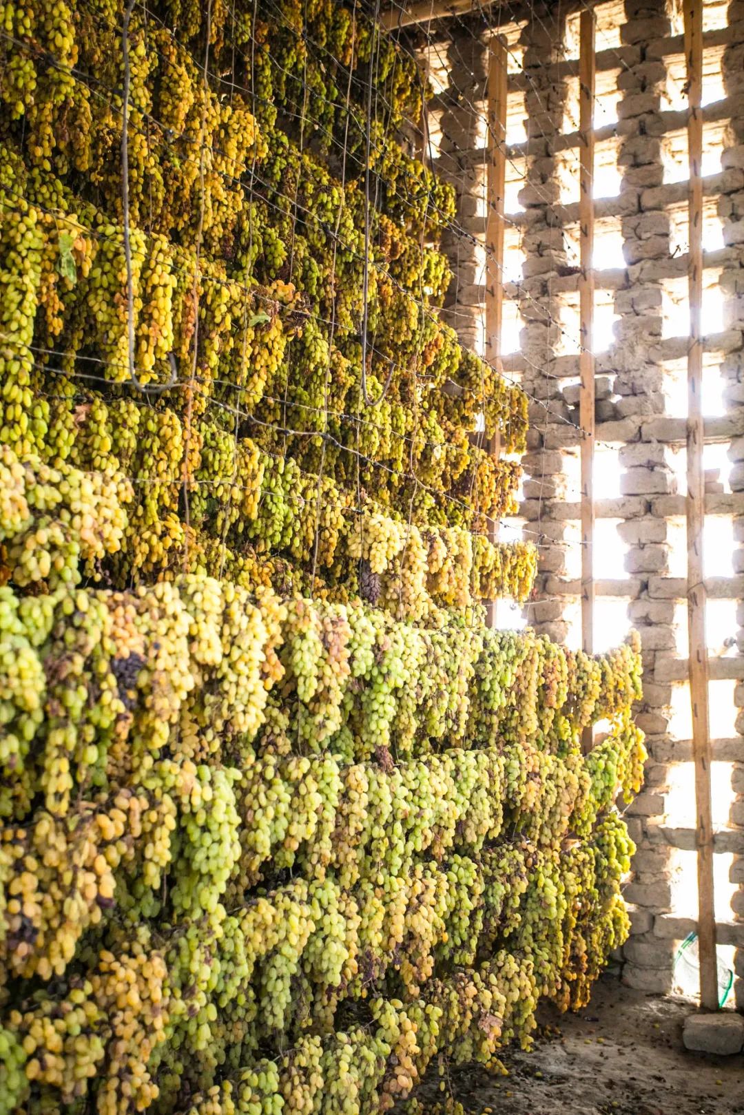 Image related to China's Fruit Hierarchy: Undisputed King Reigns Supreme