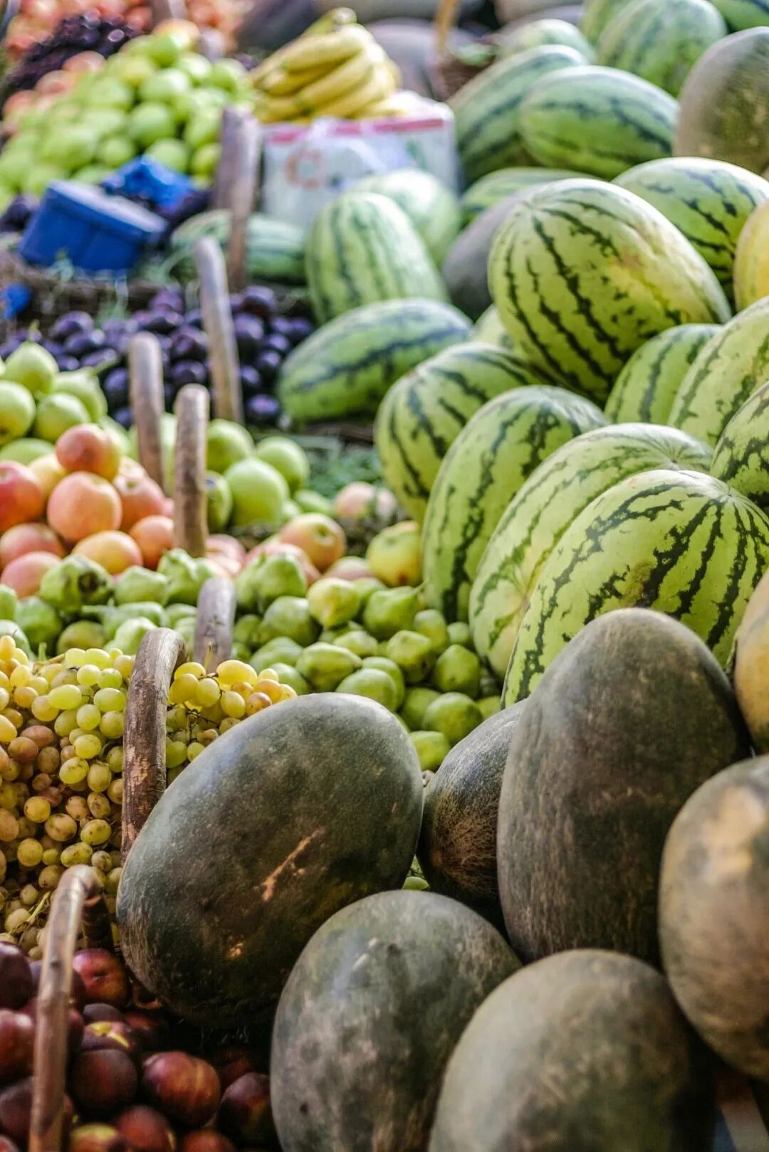 Image related to China's Fruit Hierarchy: Undisputed King Reigns Supreme