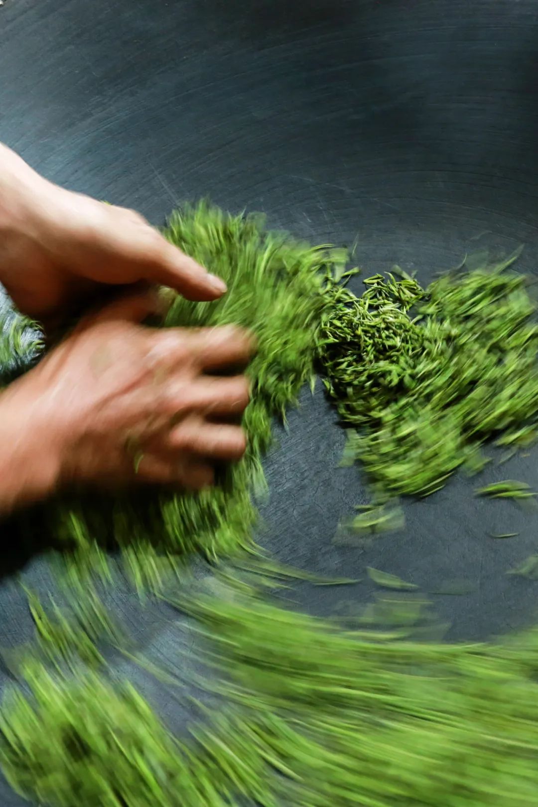 Image related to From Intangible Heritage to Global Matcha Powerhouse: How This Southwest Province Made It