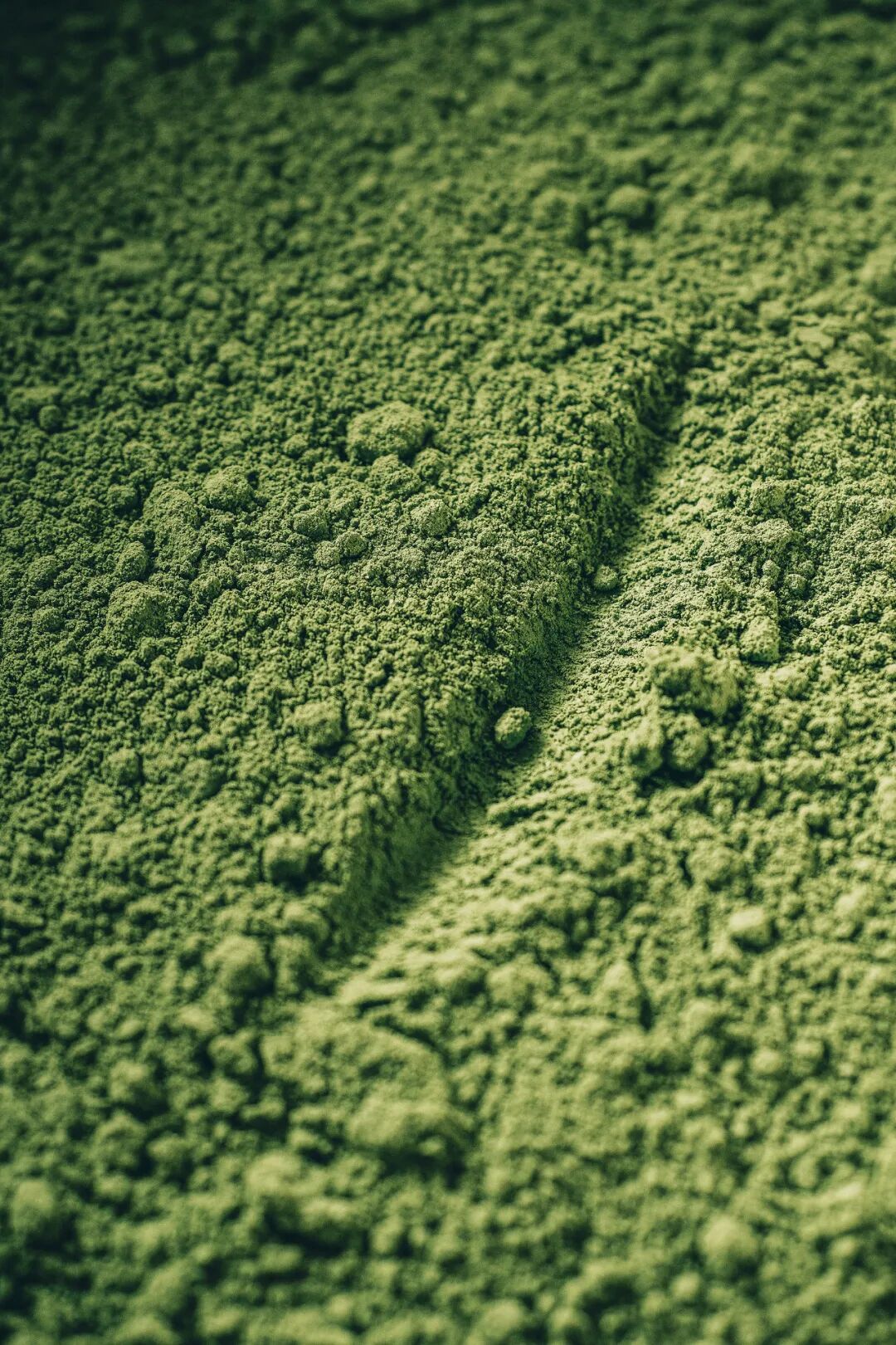 Image related to From Intangible Heritage to Global Matcha Powerhouse: How This Southwest Province Made It