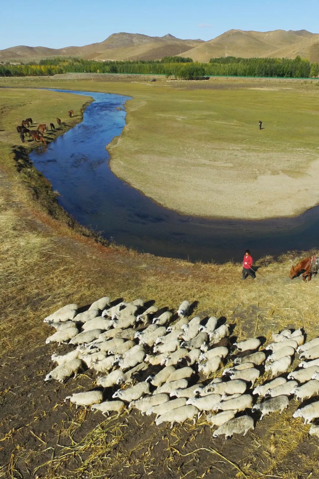 Image related to Tongliao: The City in Inner Mongolia That Best Captures the Essence of China's Northeast