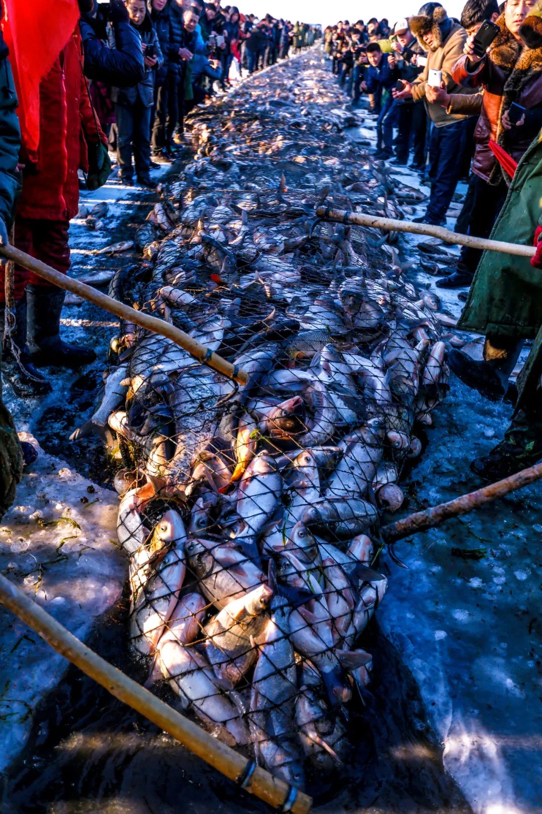 Image related to You Haven’t Really Been to Northeast China Without Visiting a Morning Market