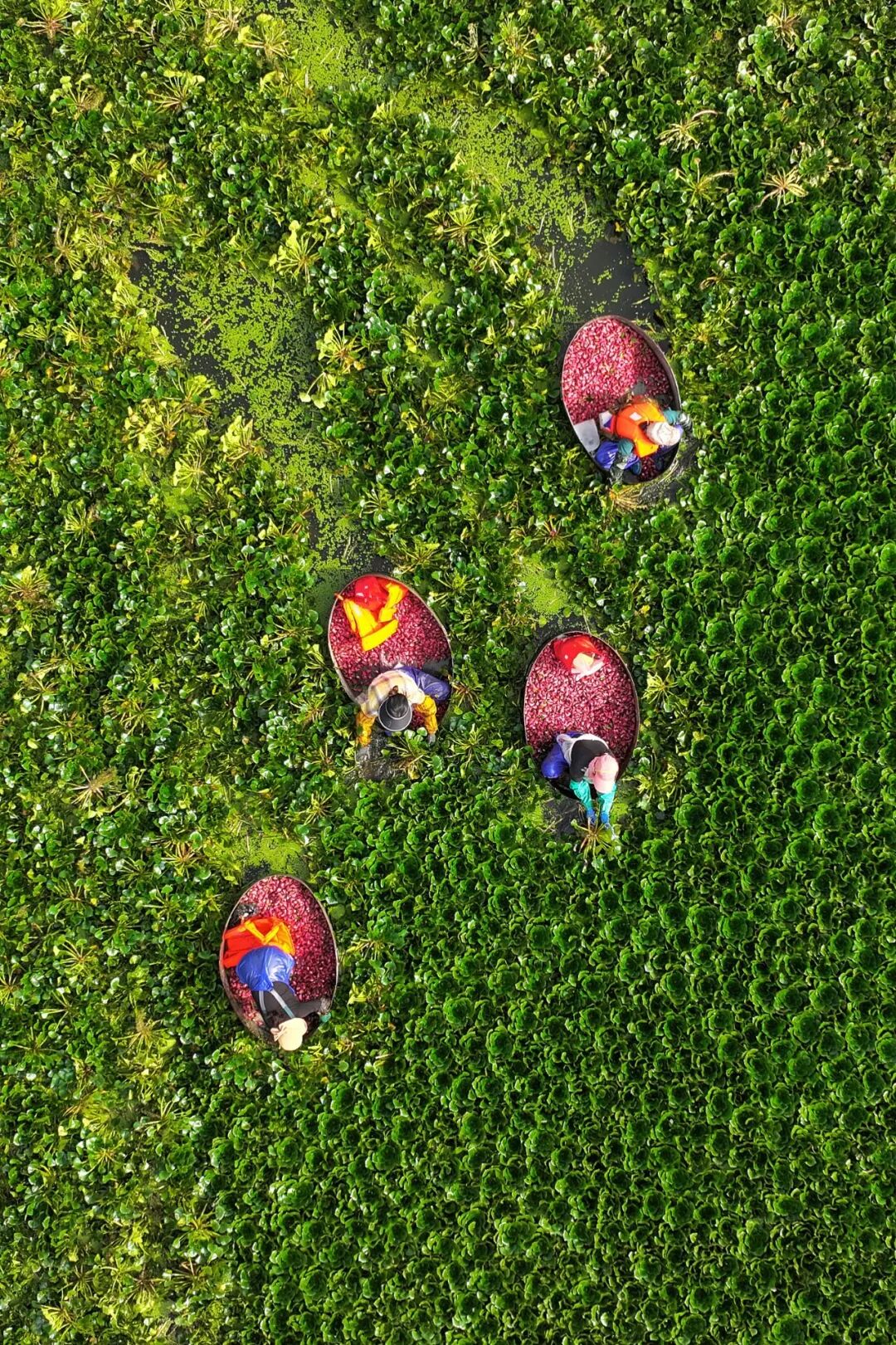 Image related to The Most Underrated City in Anhui: Why Does It Hold Half of Huizhou Cuisine's Legacy?