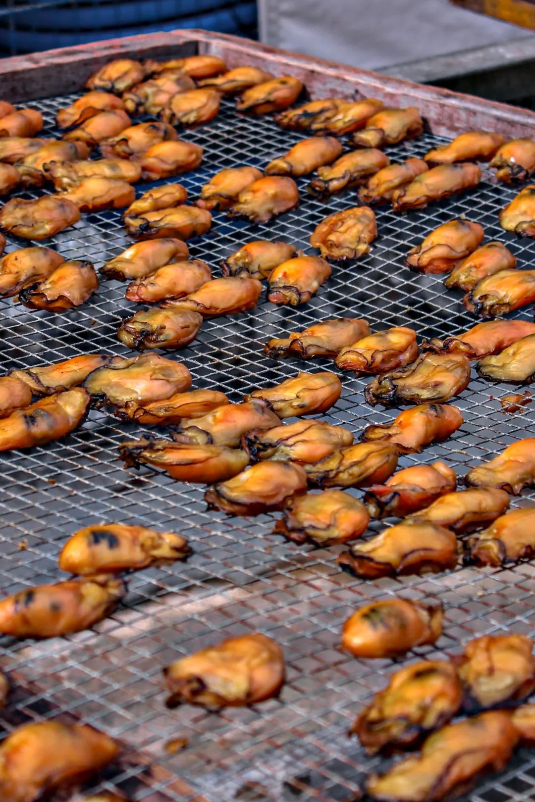 Image related to China's Top Seafood Province: How They're Dominating the Oyster Game