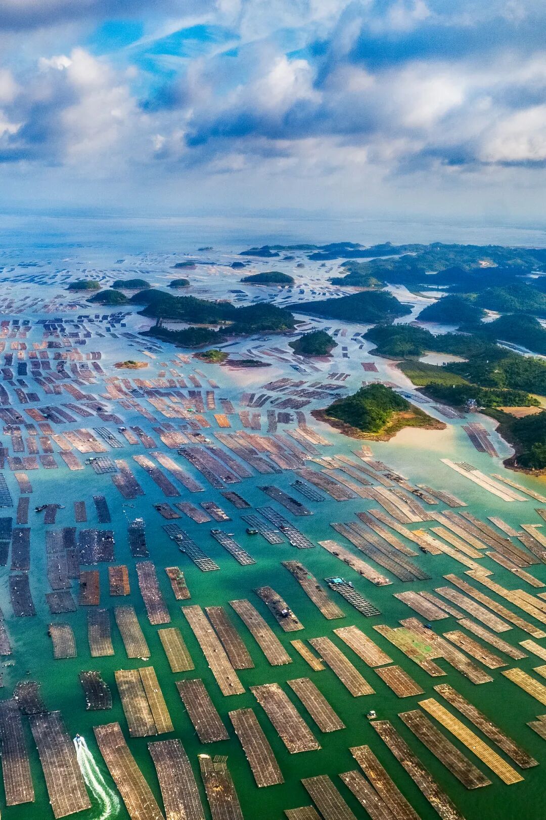Image related to China's Top Seafood Province: How They're Dominating the Oyster Game