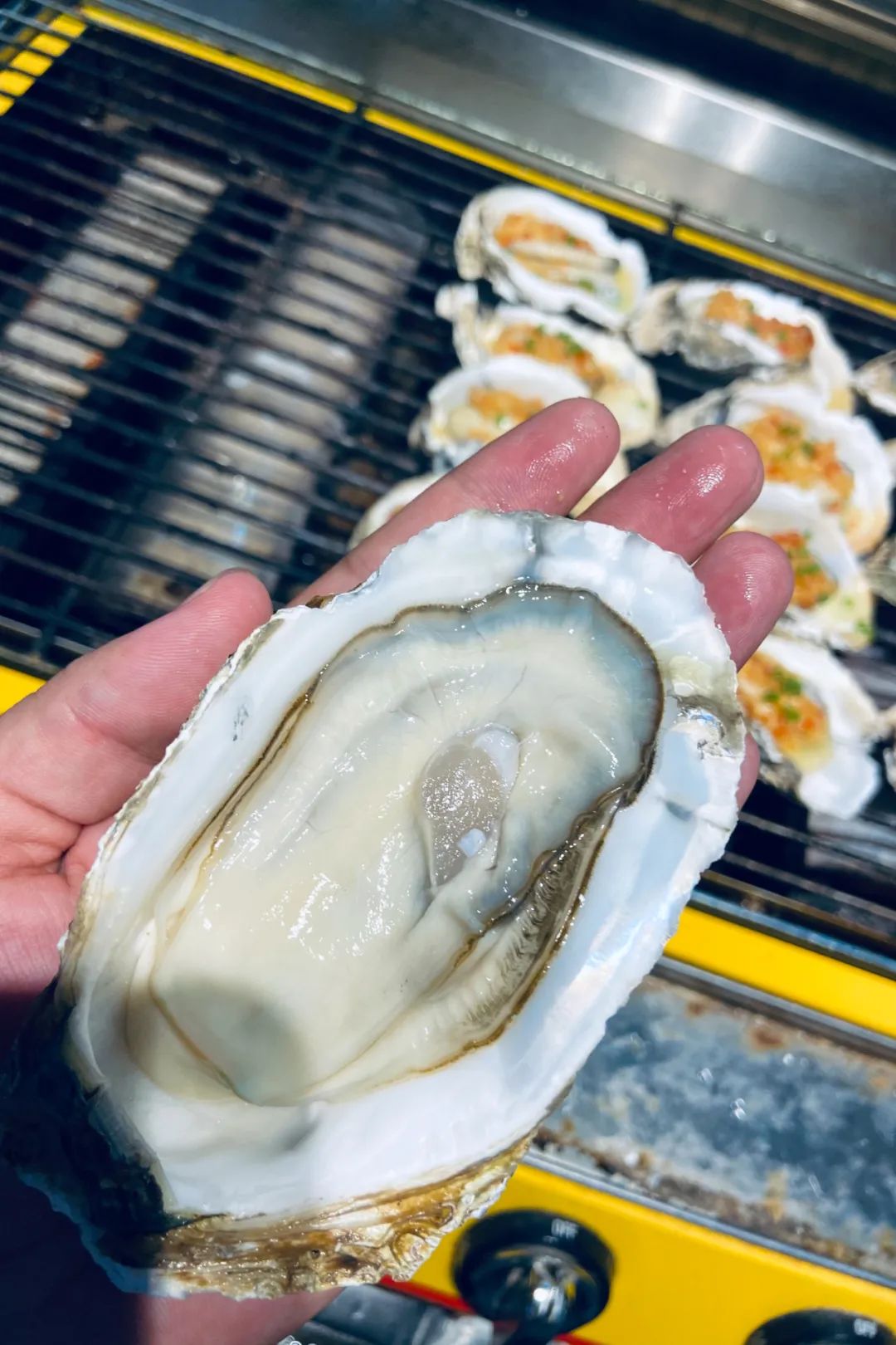 Image related to China's Top Seafood Province: How They're Dominating the Oyster Game