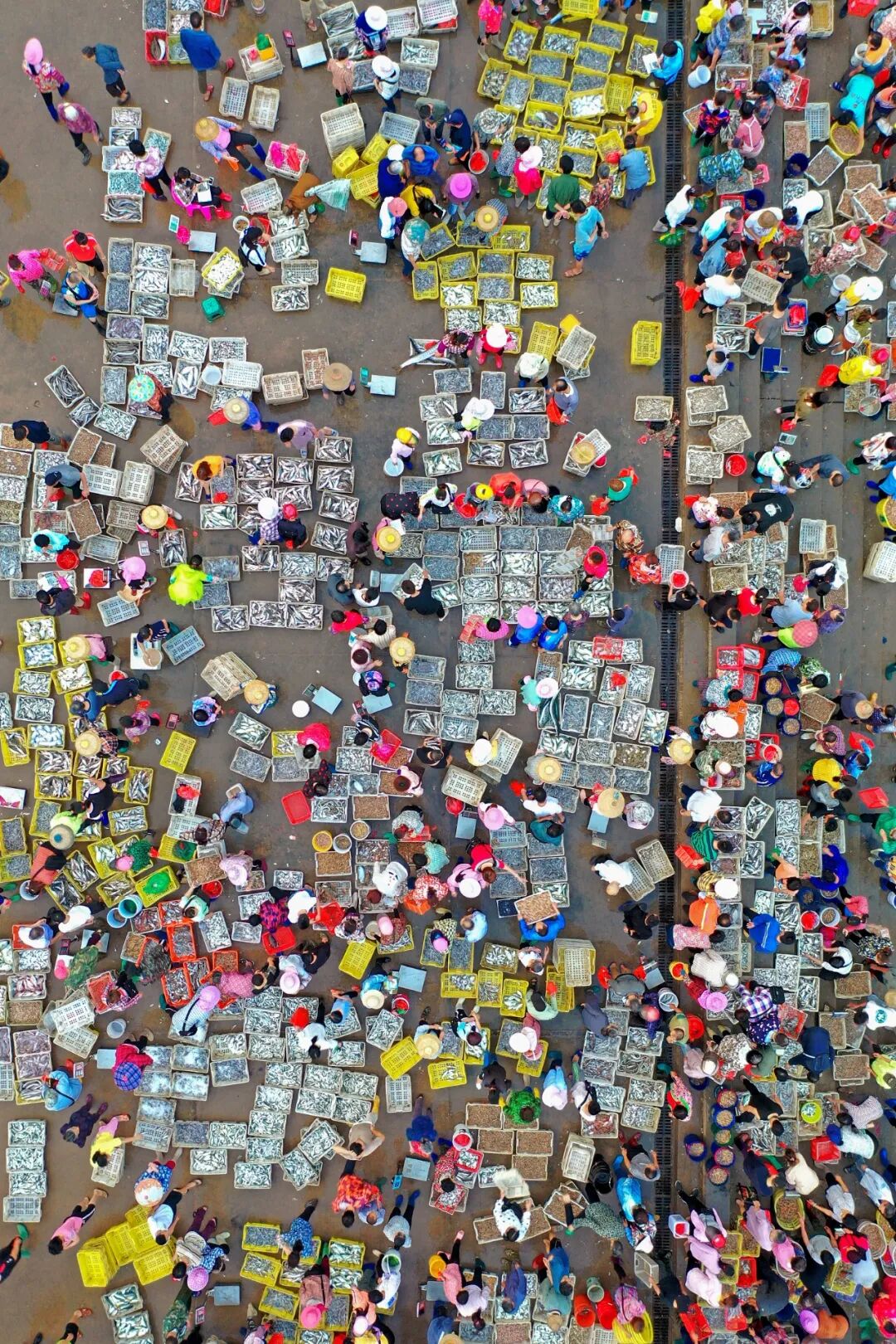 Image related to China's Top Seafood Province: How They're Dominating the Oyster Game