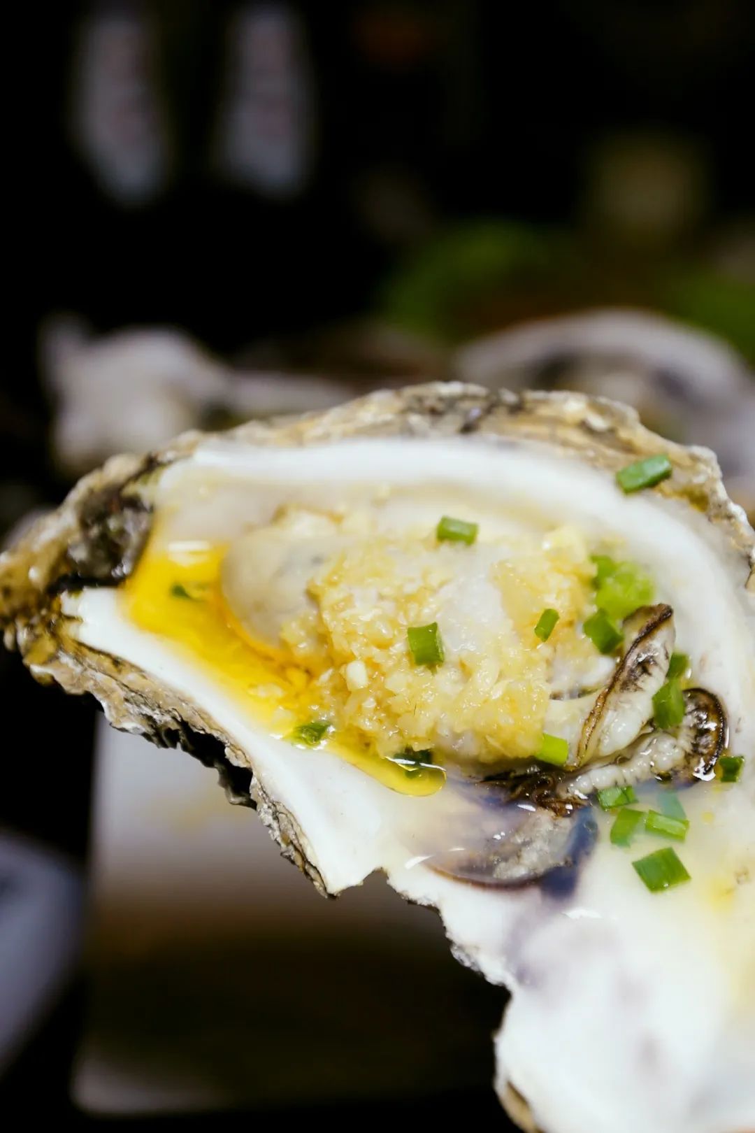 Image related to China's Top Seafood Province: How They're Dominating the Oyster Game