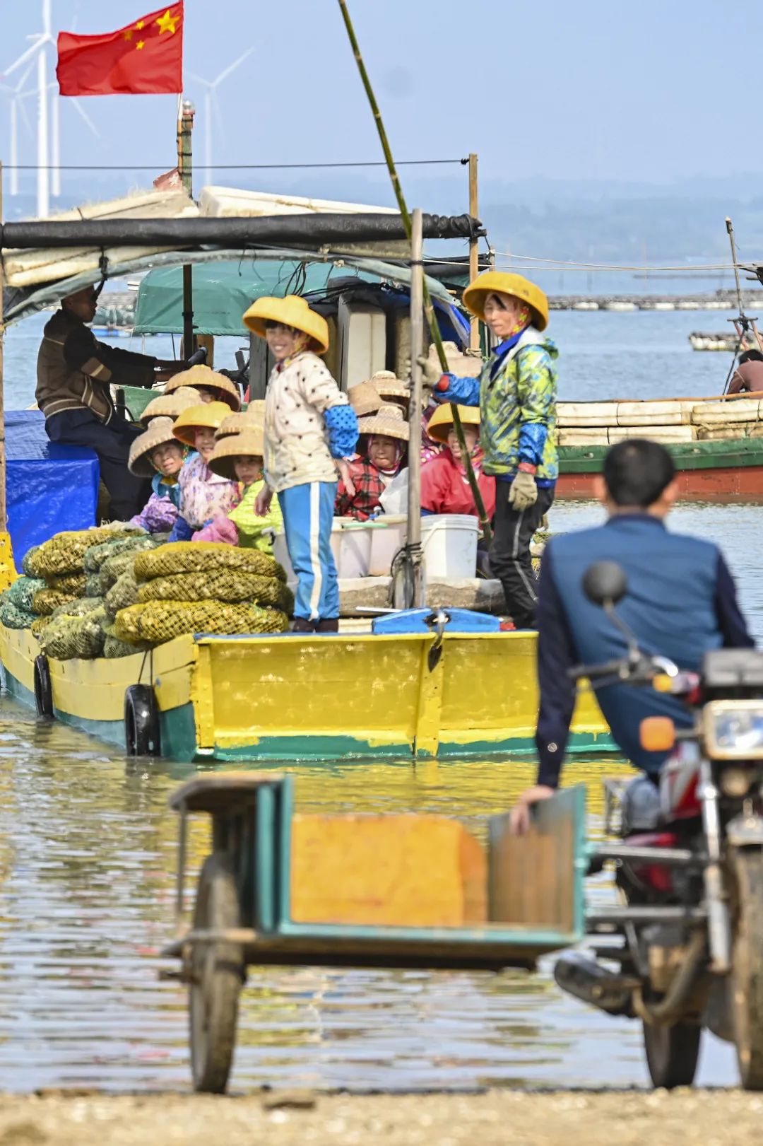 Image related to China's Top Seafood Province: How They're Dominating the Oyster Game