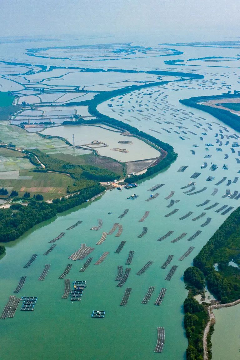 Image related to China's Top Seafood Province: How They're Dominating the Oyster Game
