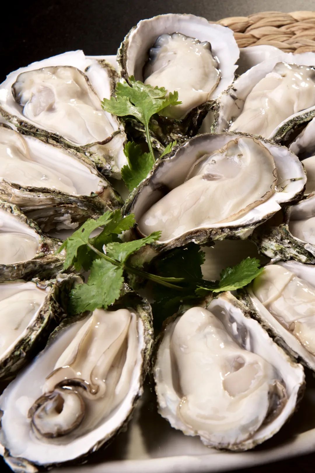 Image related to China's Top Seafood Province: How They're Dominating the Oyster Game