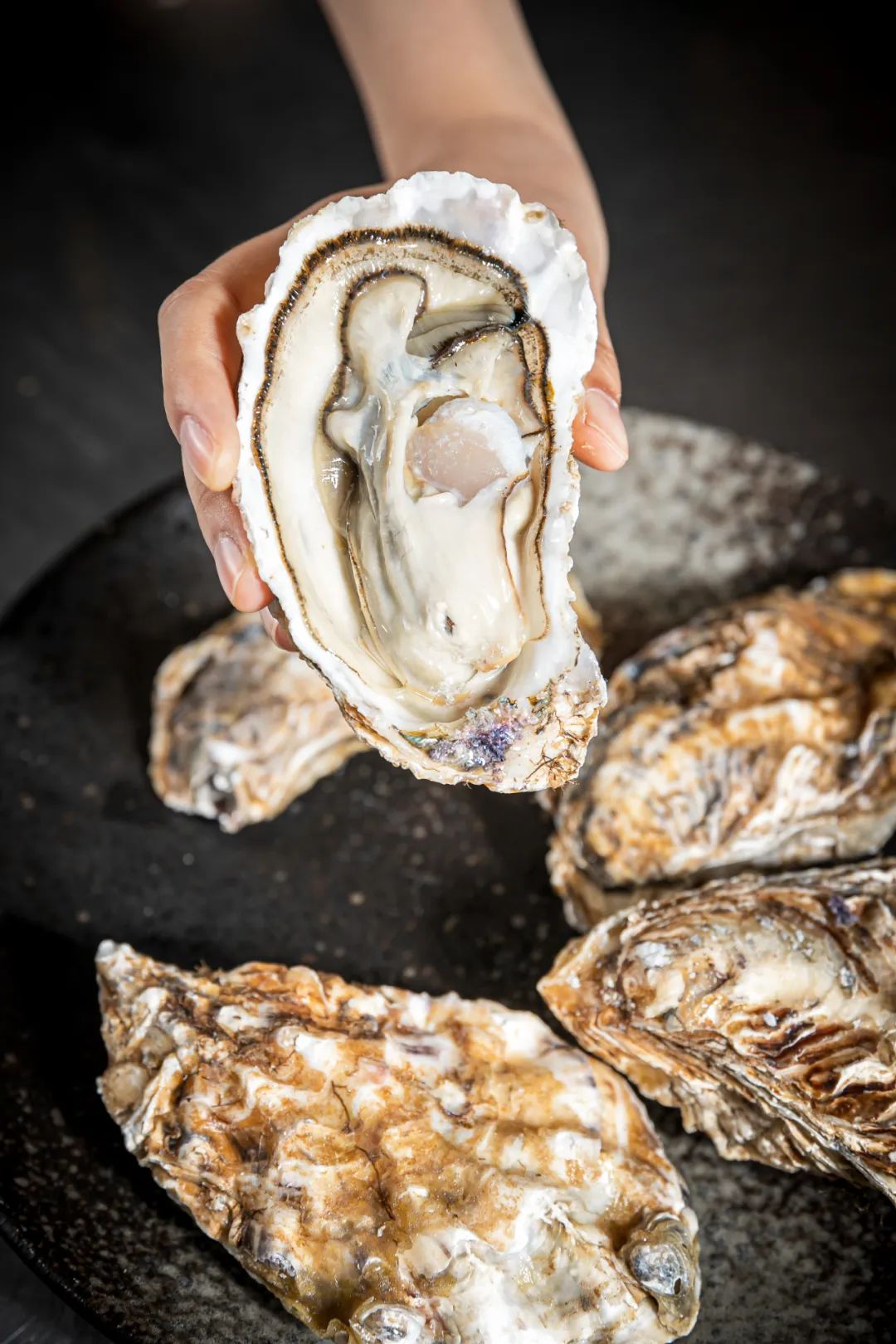 Image related to China's Top Seafood Province: How They're Dominating the Oyster Game