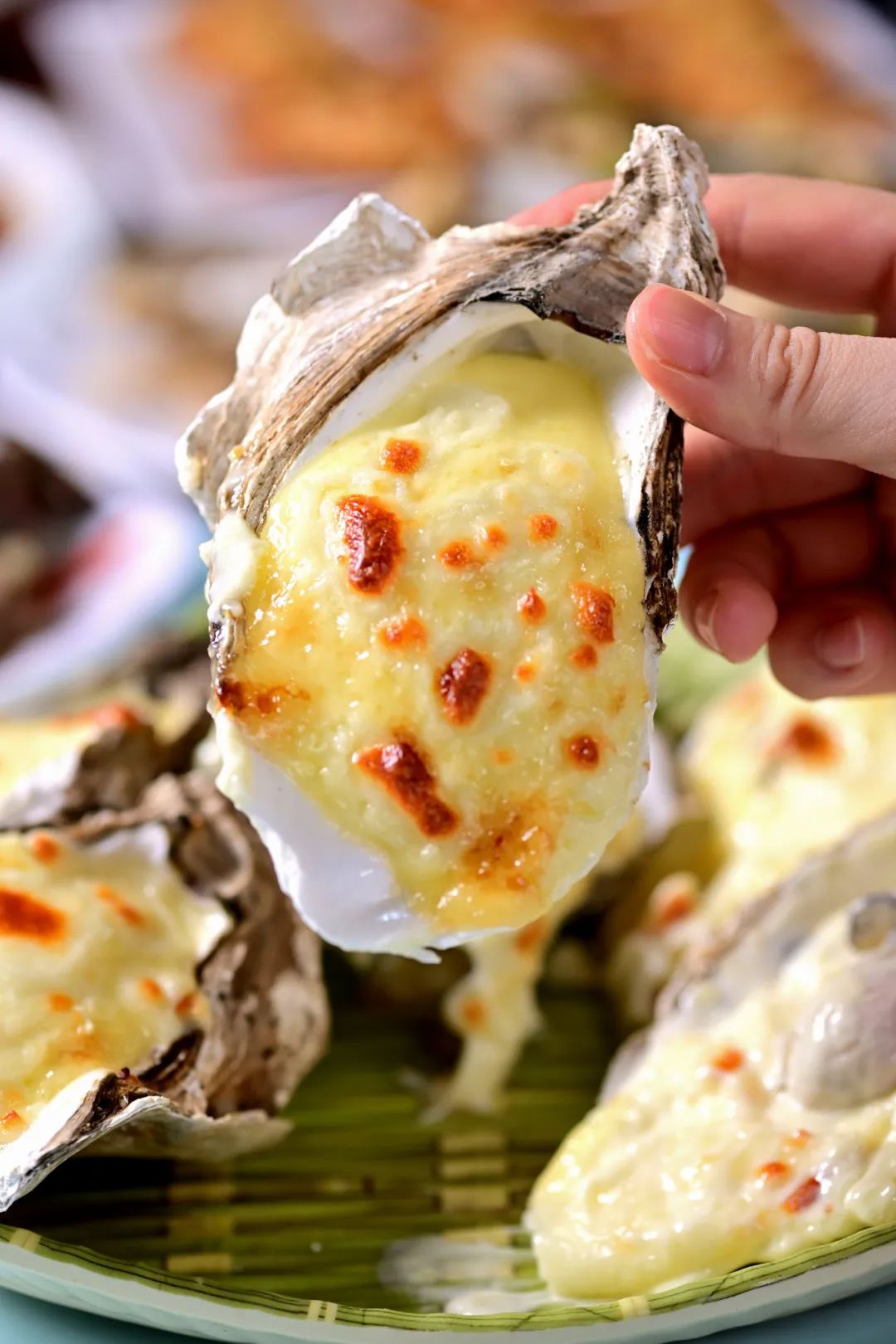 Image related to China's Top Seafood Province: How They're Dominating the Oyster Game