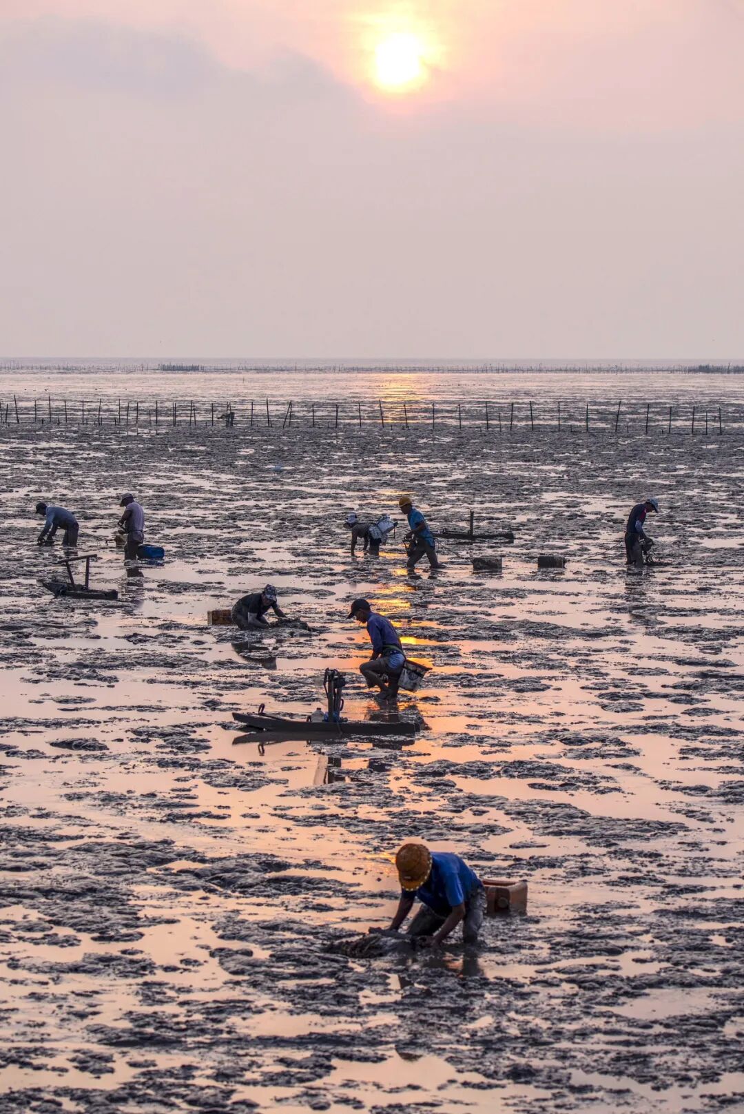 Image related to How Wealthy Is Zhejiang's Top County Emerging from the Sea?