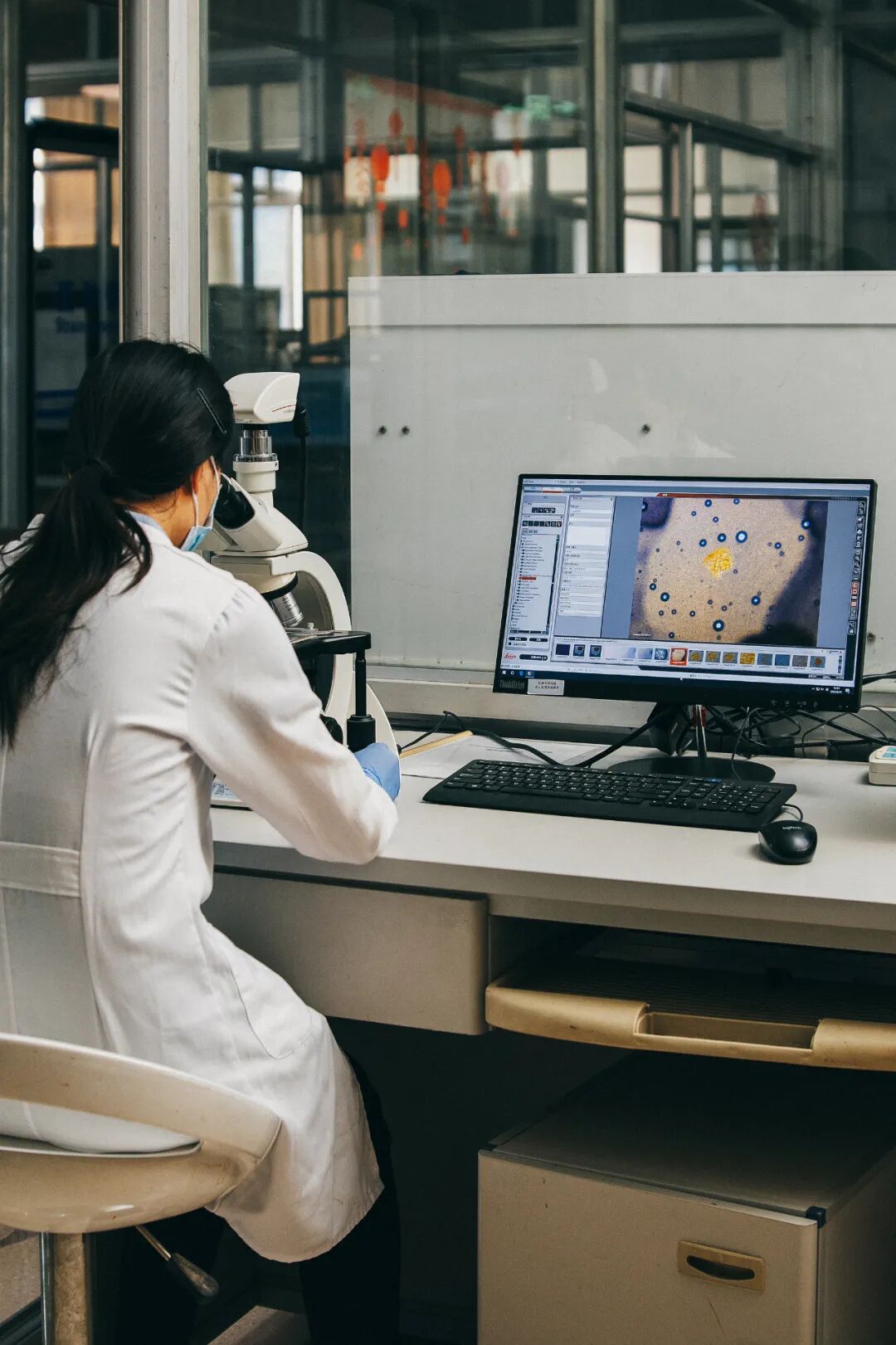 Image related to What's It Like to Work at Moutai Distillery?