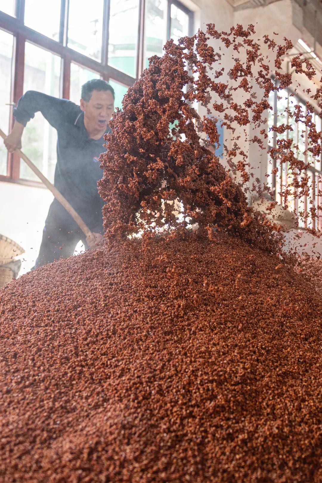 Image related to What's It Like to Work at Moutai Distillery?