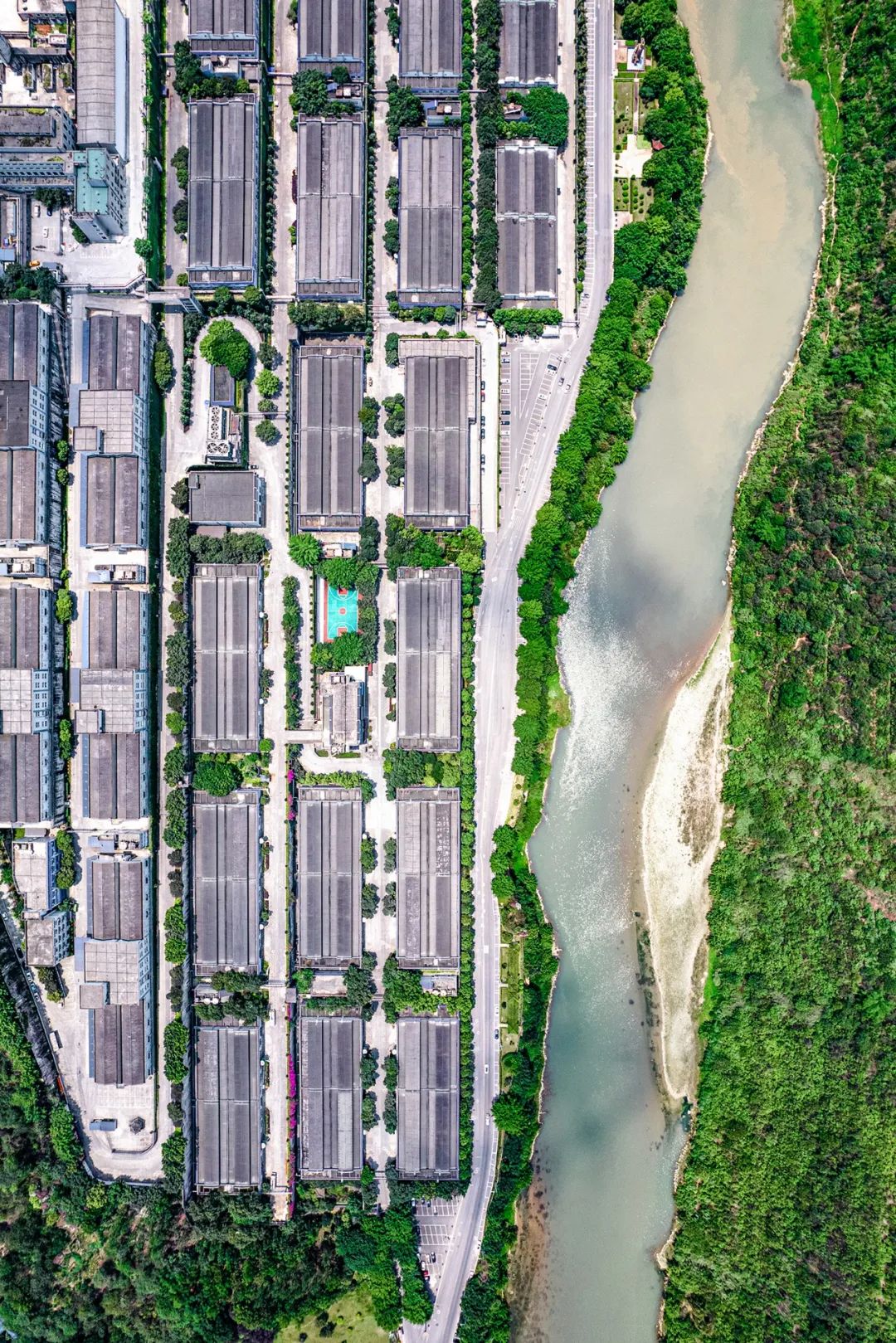 Image related to What's It Like to Work at Moutai Distillery?