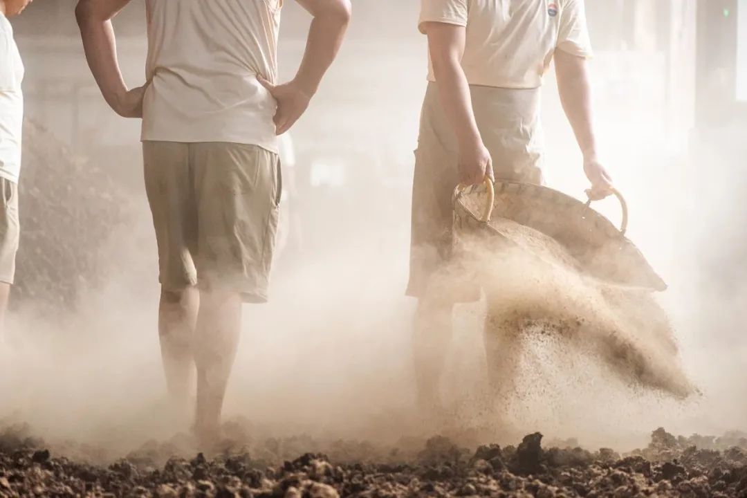 Image related to What's It Like to Work at Moutai Distillery?