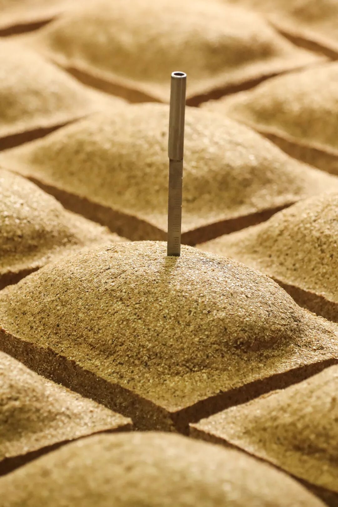 Image related to What's It Like to Work at Moutai Distillery?