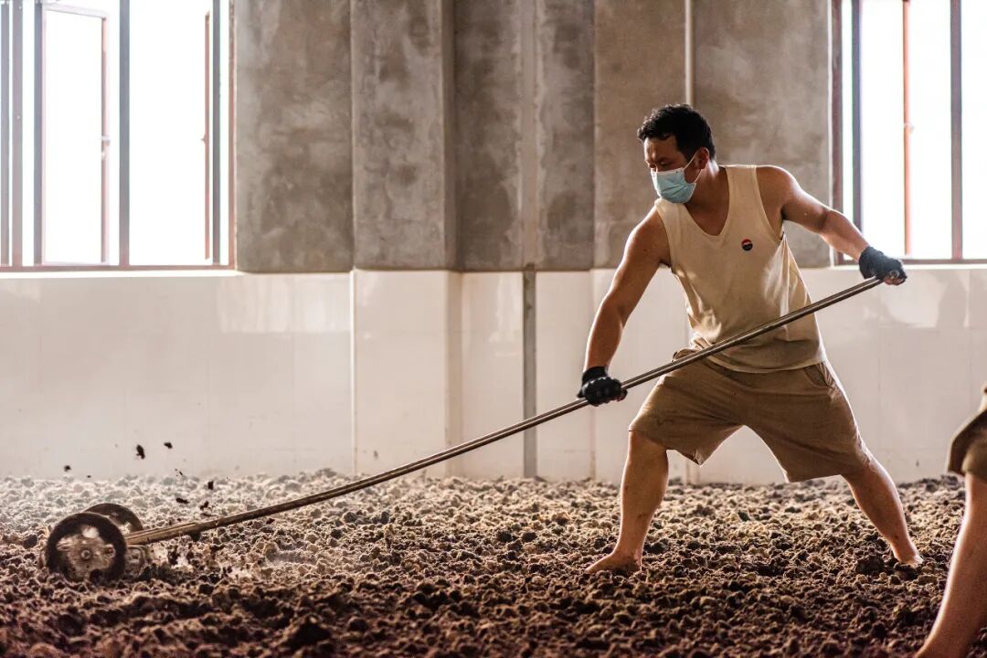 Image related to What's It Like to Work at Moutai Distillery?
