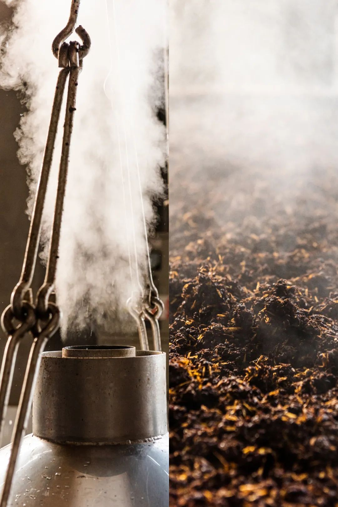 Image related to What's It Like to Work at Moutai Distillery?