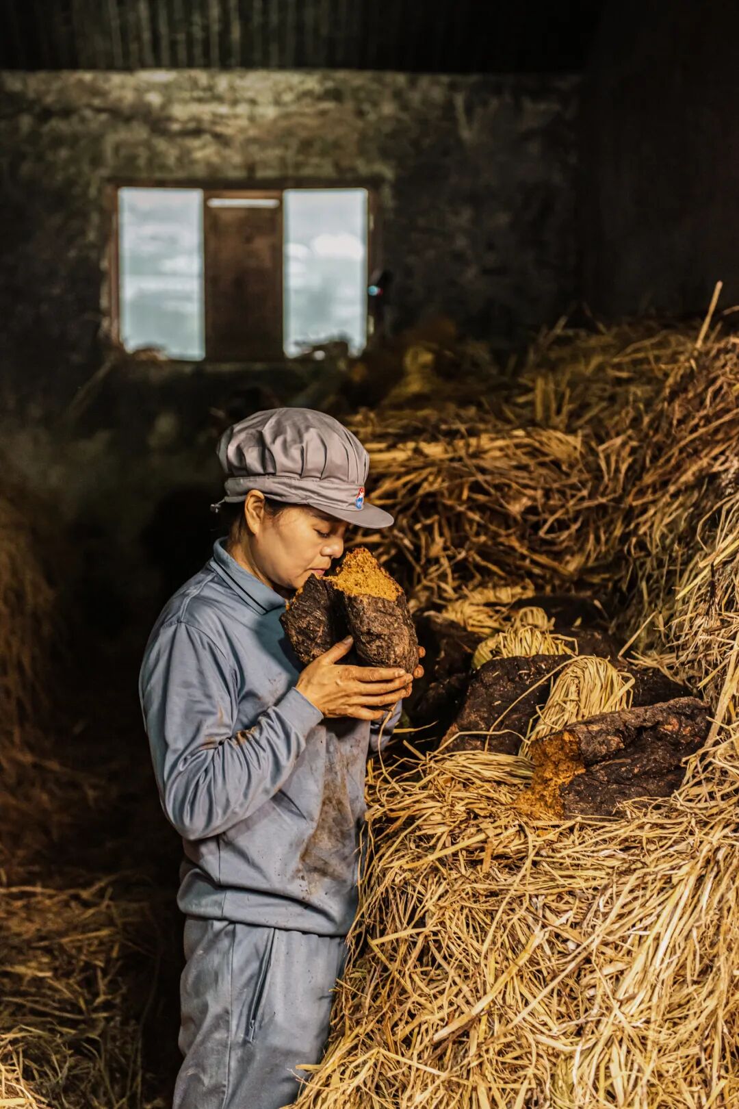 Image related to What's It Like to Work at Moutai Distillery?