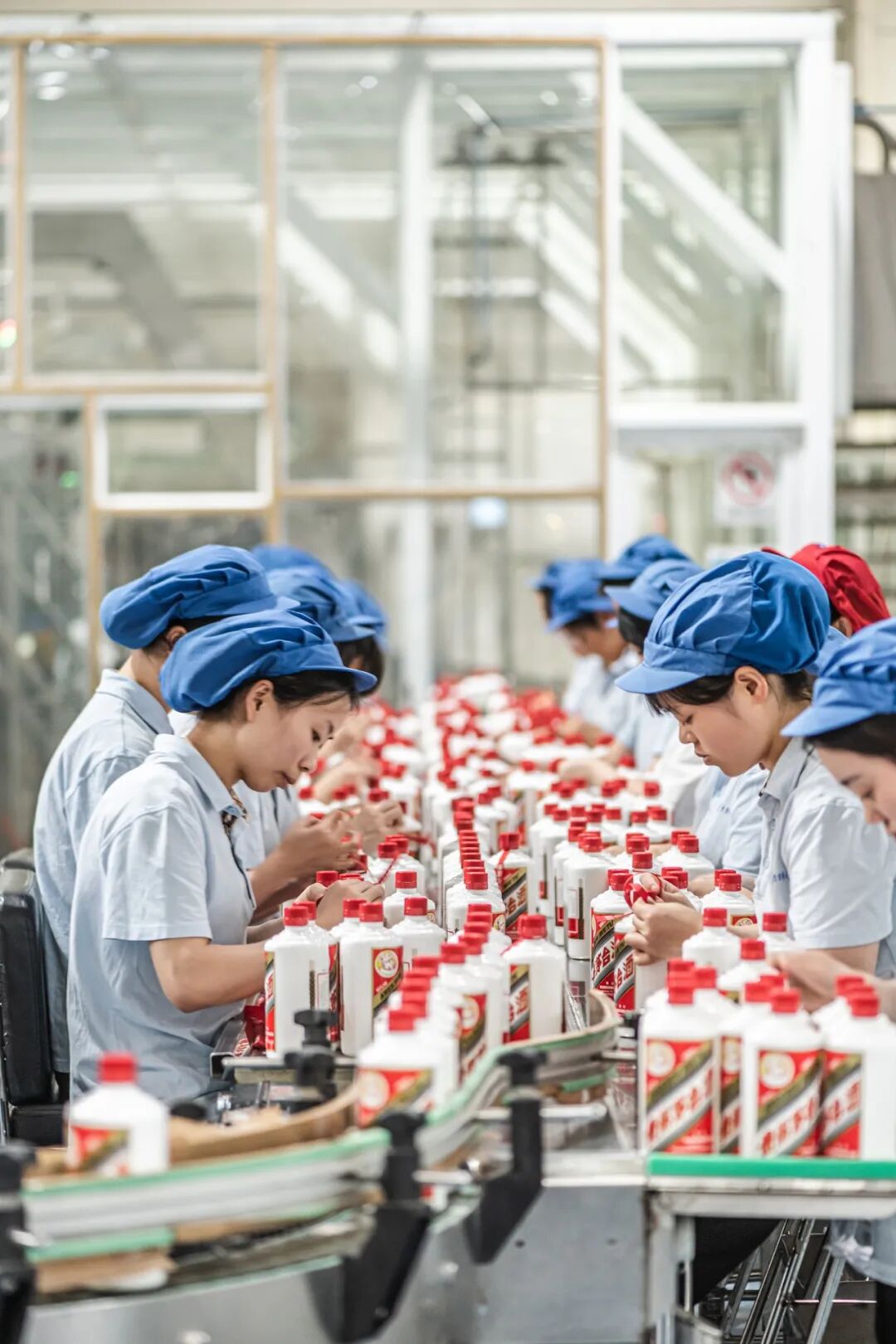 Image related to What's It Like to Work at Moutai Distillery?