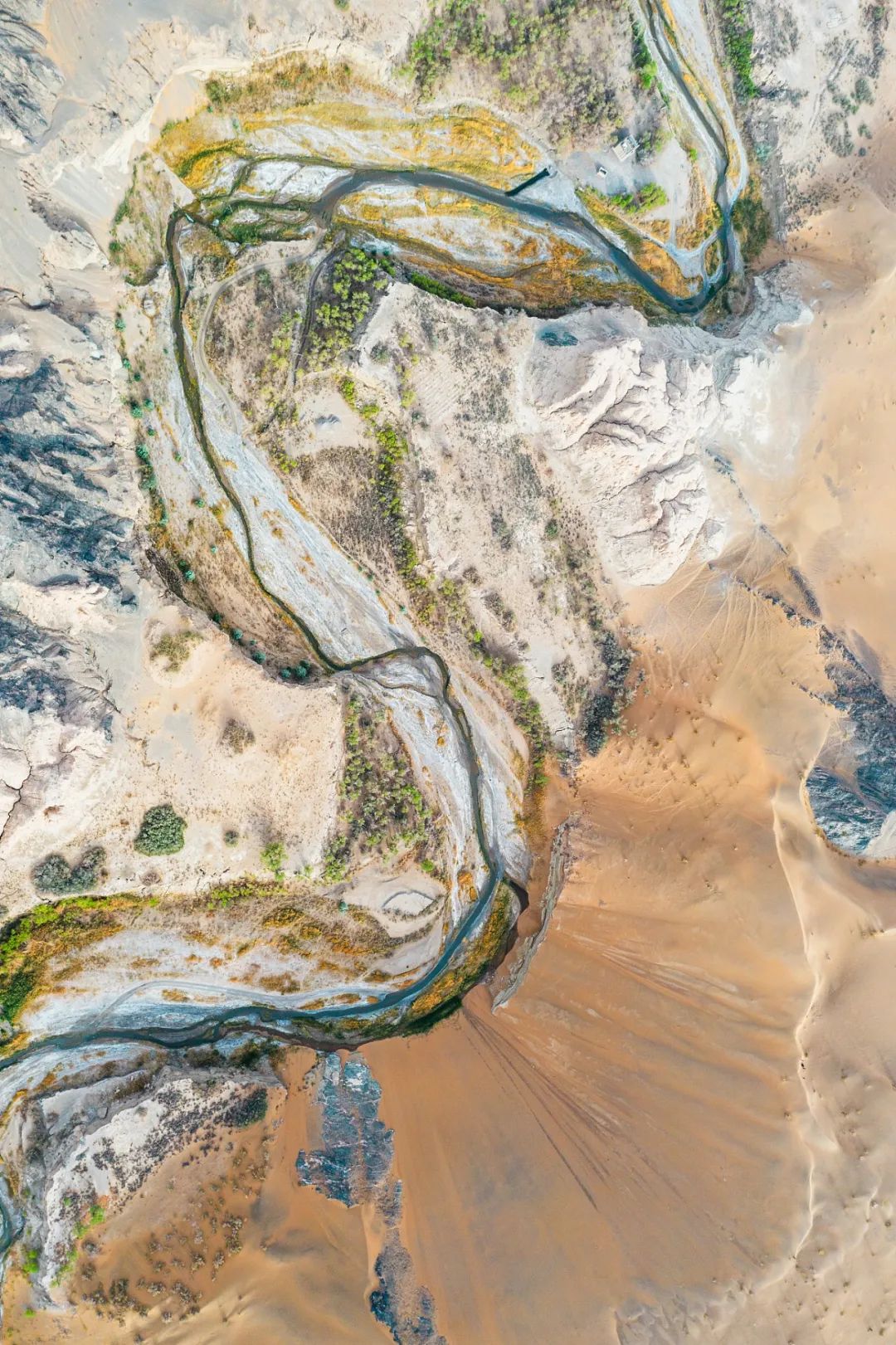 Image related to The Origin of "Su" in Gansu: Where Does It Come From?
