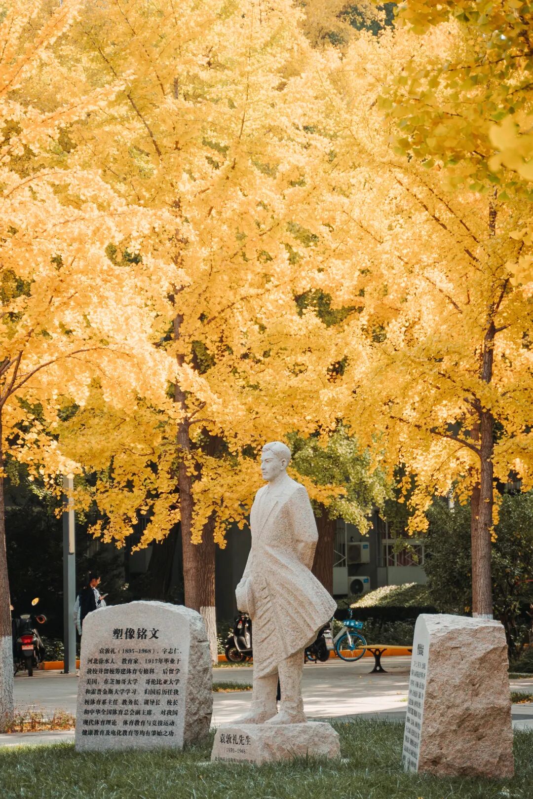 Image related to 122 Years Young: China's Undisputed Top Normal University