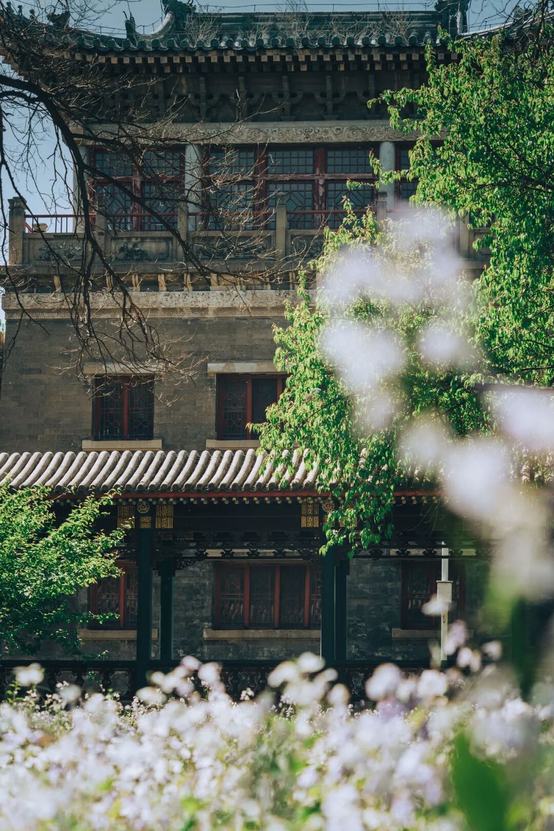 Image related to 122 Years Young: China's Undisputed Top Normal University