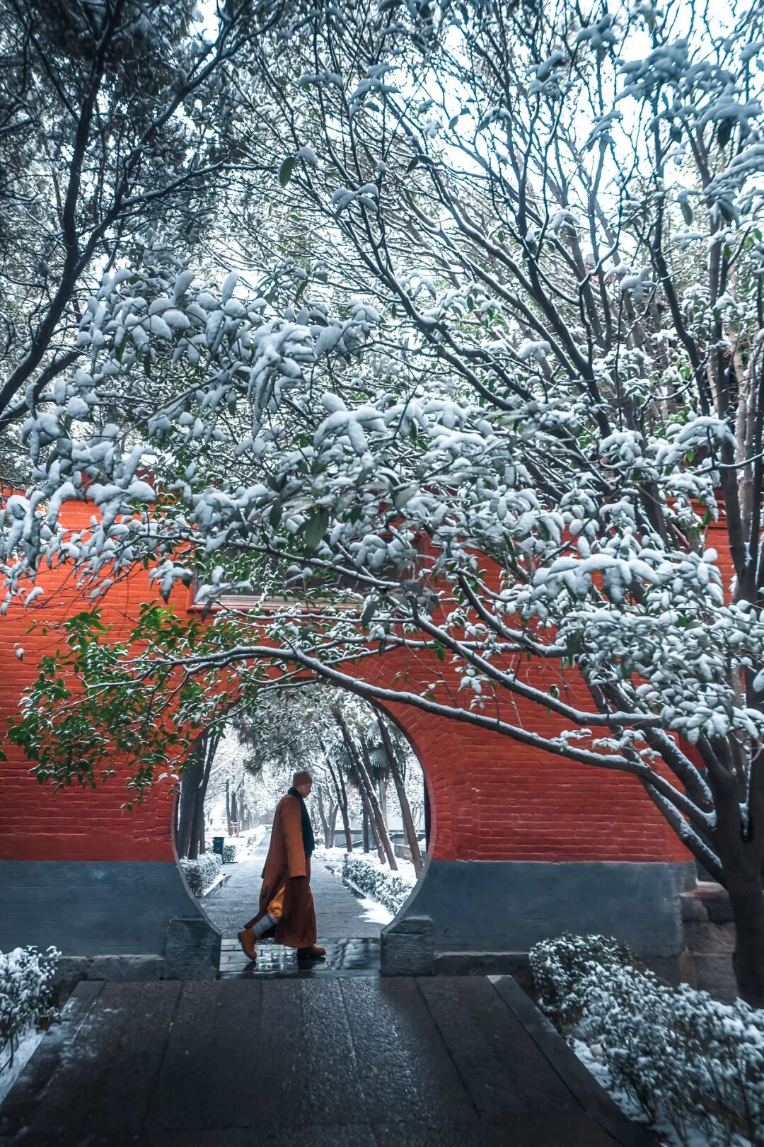 Image related to Xi'an or Luoyang: Which Truly Deserves the Title of China's Ancient Capital?