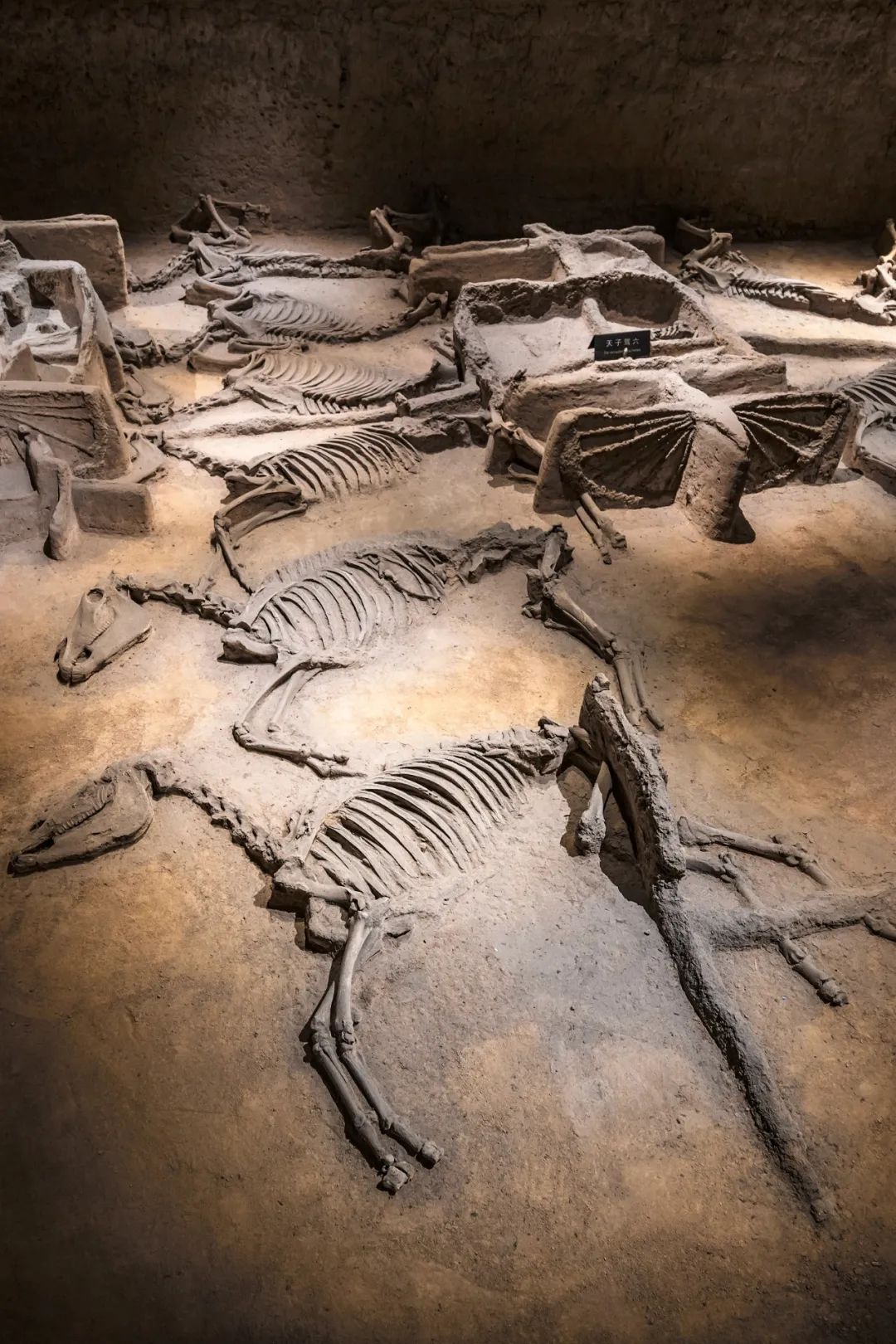 Image related to Xi'an or Luoyang: Which Truly Deserves the Title of China's Ancient Capital?