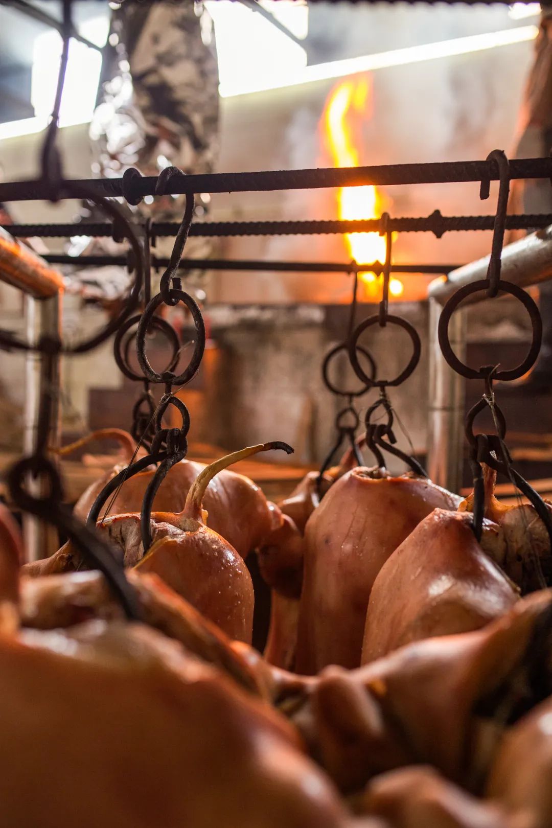 Image related to China's Ultimate New Year Feast: Southern Twists Outshine Northern Traditions