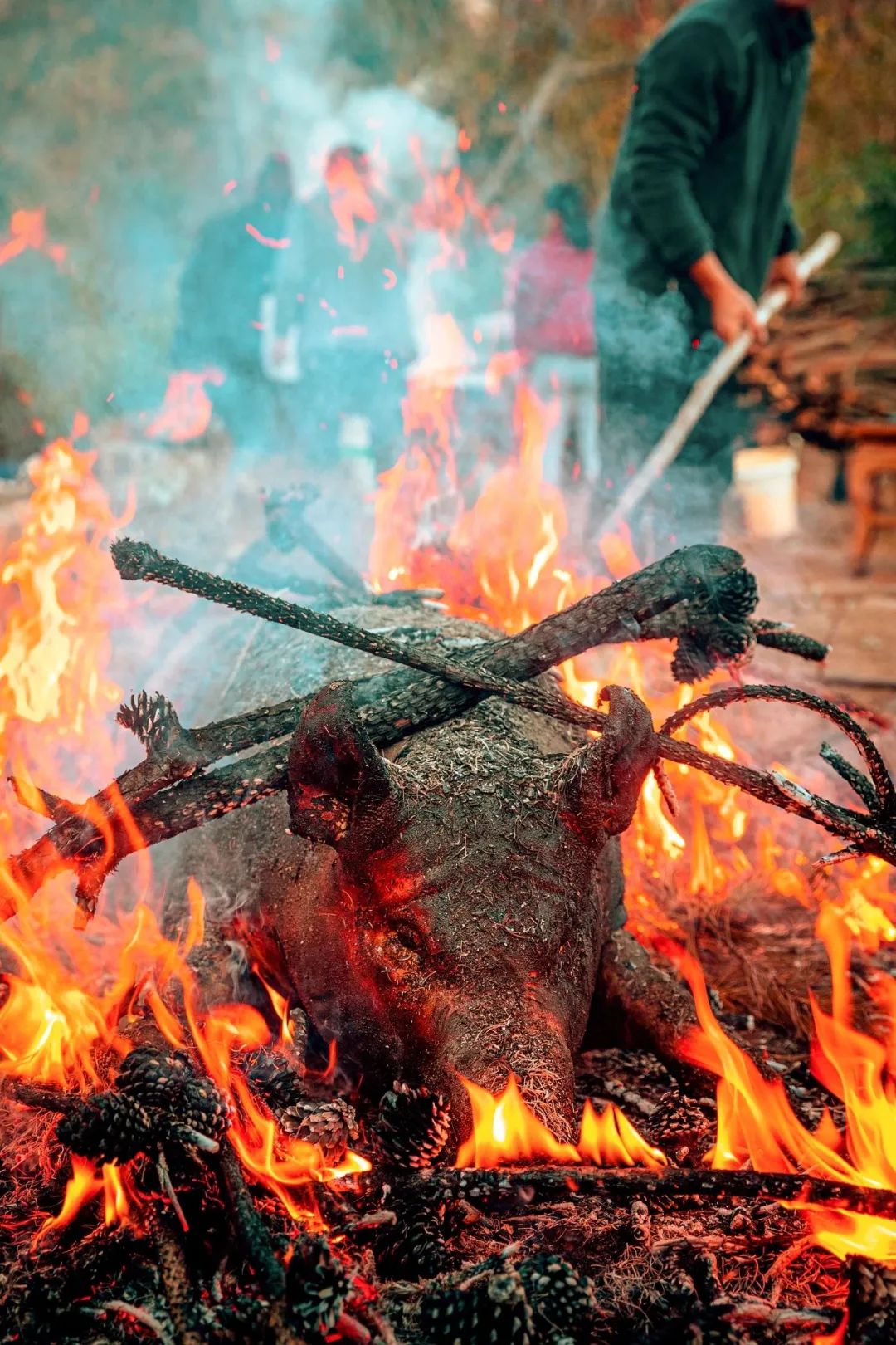 Image related to China's Ultimate New Year Feast: Southern Twists Outshine Northern Traditions