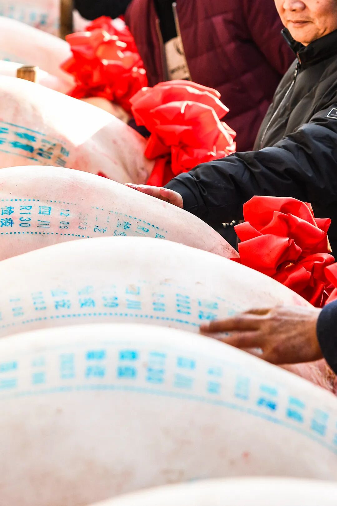 Image related to China's Ultimate New Year Feast: Southern Twists Outshine Northern Traditions