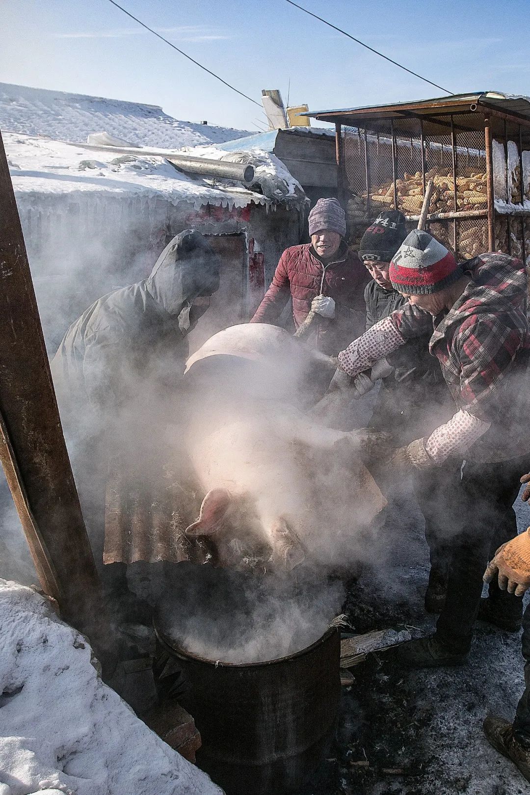 Image related to China's Ultimate New Year Feast: Southern Twists Outshine Northern Traditions