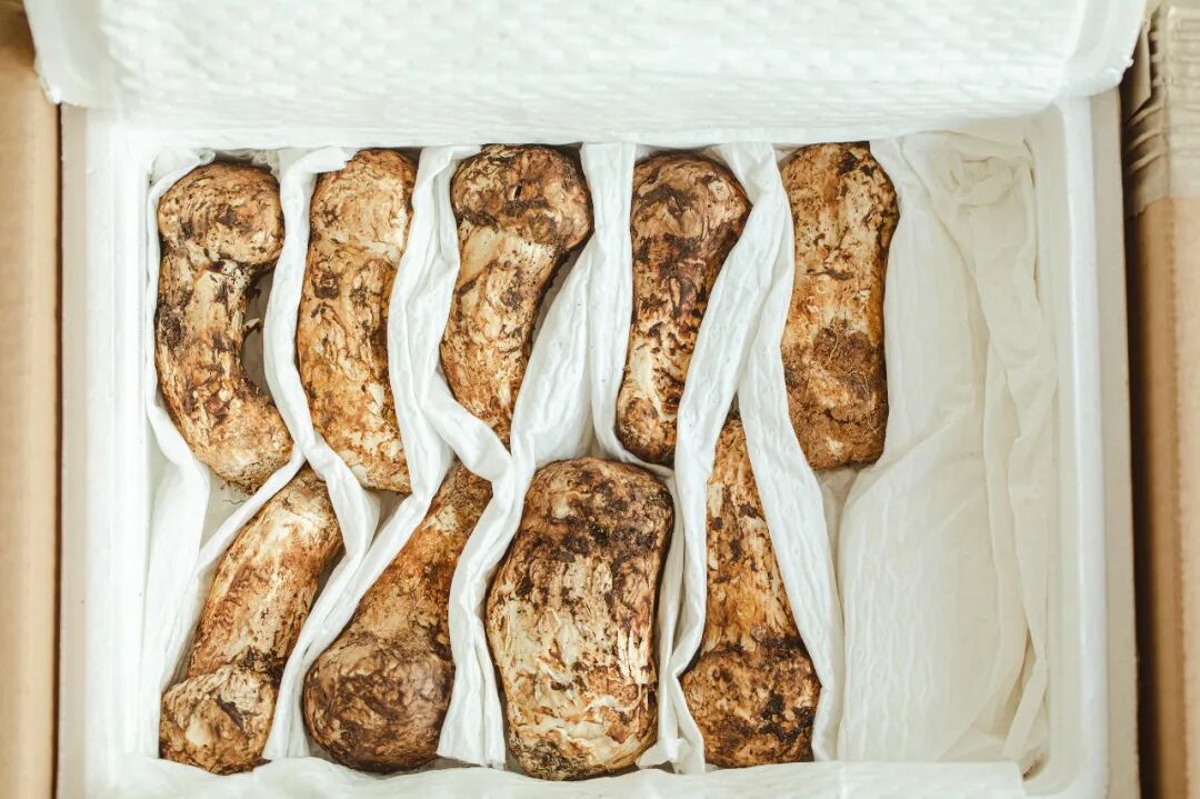 Image related to Southwest China's Summer Delicacy: Available Only One Month a Year