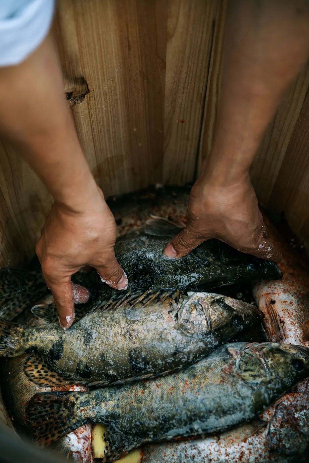 Image related to How Did Stinky Mandarin Fish Become the Icon of Anhui Cuisine?